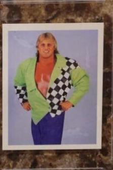 Owen Hart #262