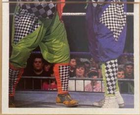Owen Hart, Koko B. Ware, Frankie #267