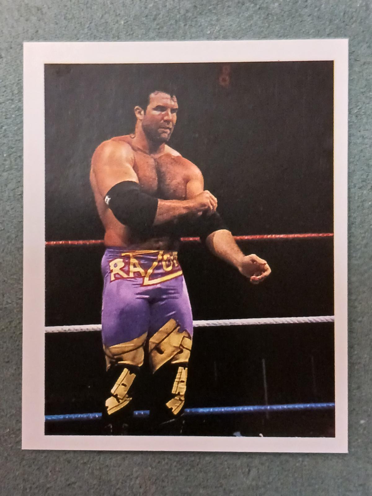 Razor Ramon #154