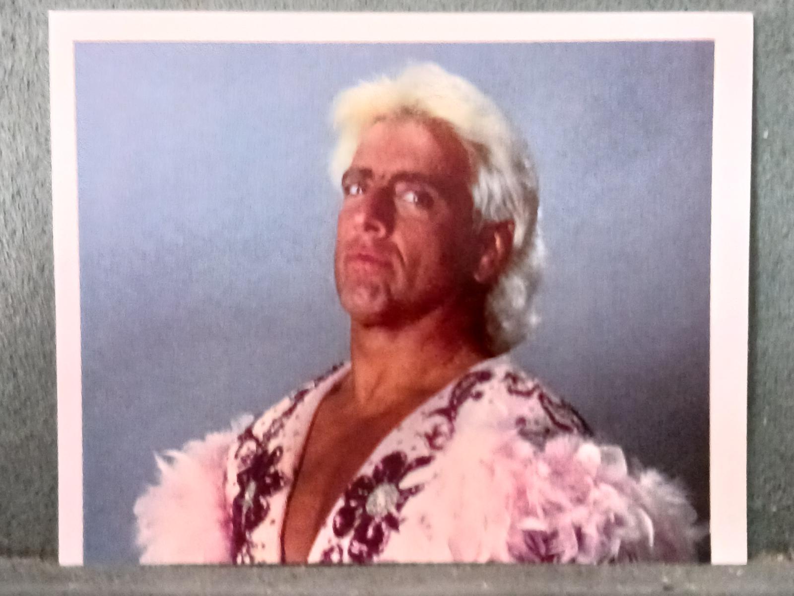 Ric Flair #51