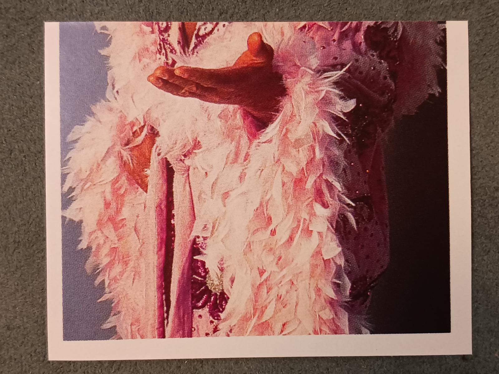 Ric Flair #52