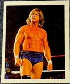Roddy Piper #255