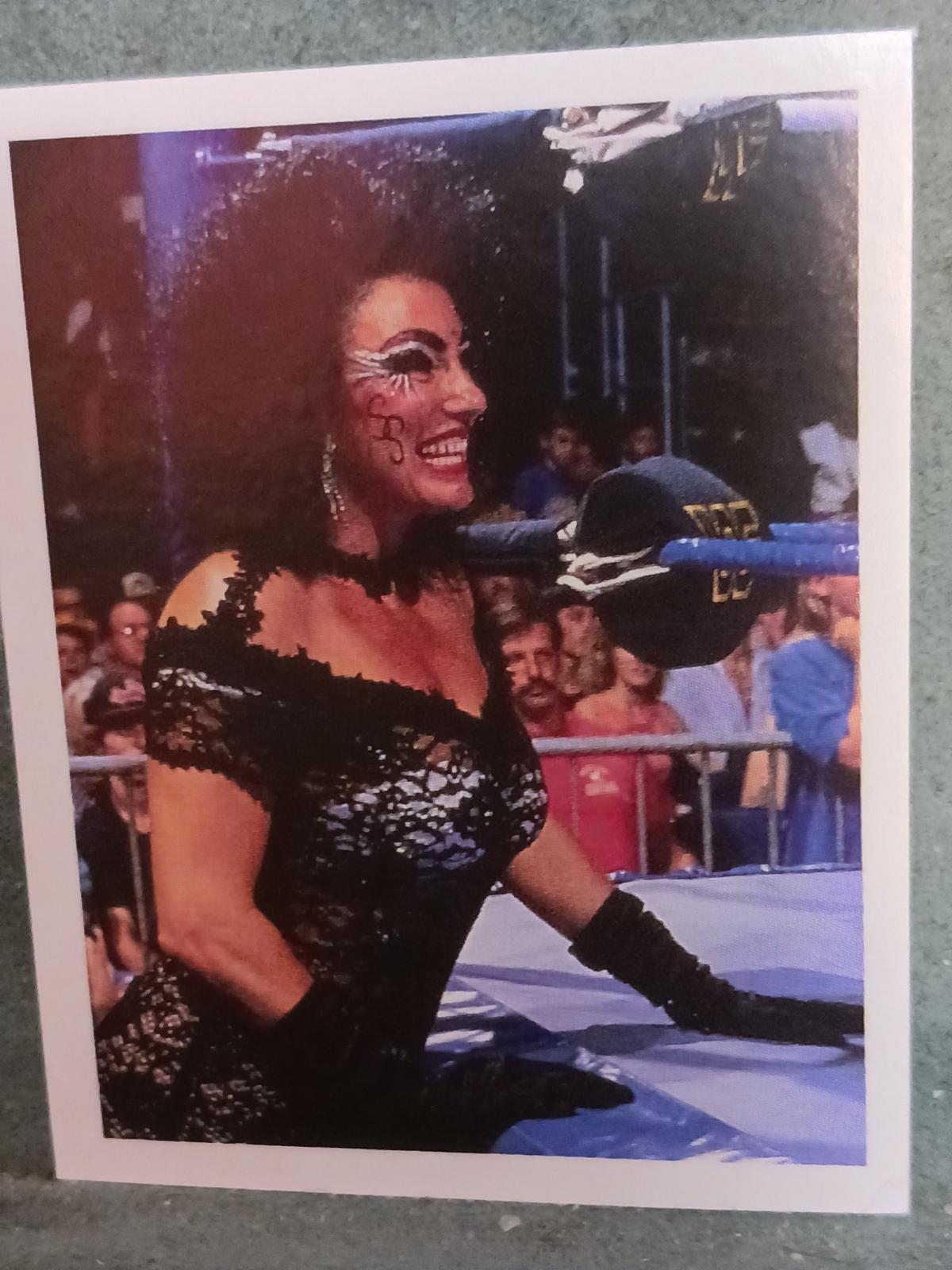 Sensational Sherri #252