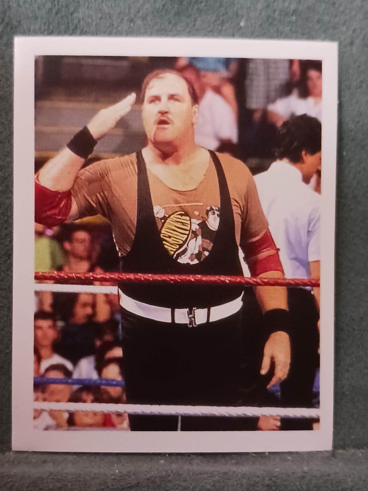 Sgt. Slaughter #236
