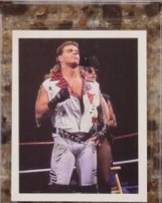 Shawn Michaels #241