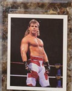 Shawn Michaels #242