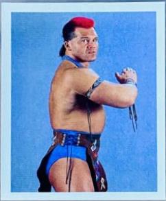 Tatanka #191