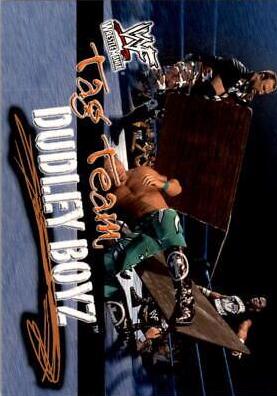 Dudley Boyz #73