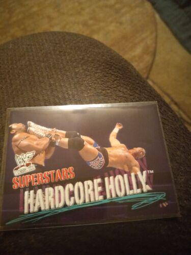 Hardcore Holly #28