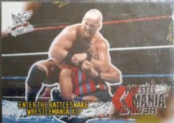 Stone Cold Steve Austin #52
