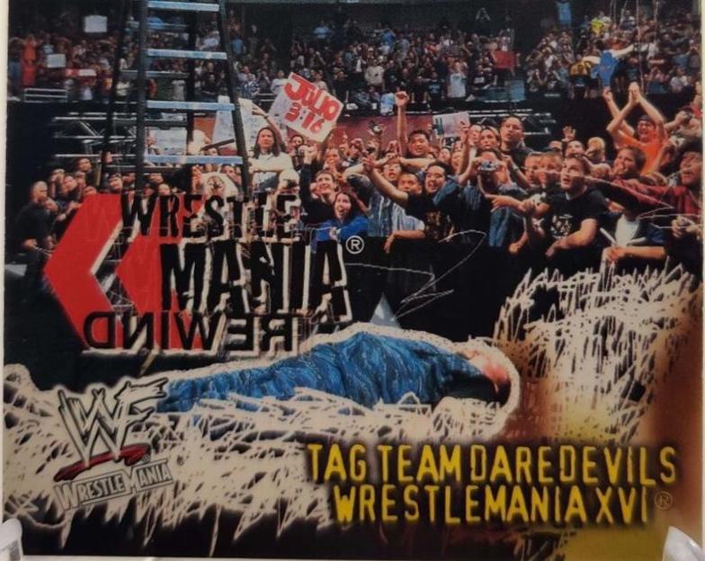 Tag Team Daredevils #100