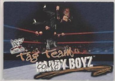 The Hardy Boyz #72
