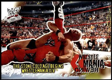 The Stone Cold Age Begins [Gold] #97