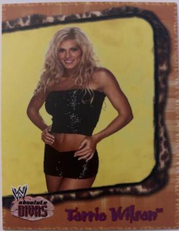 Torrie Wilson #22