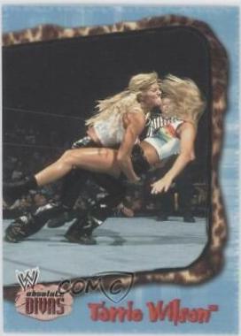 Torrie Wilson #41