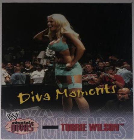 Torrie Wilson #71