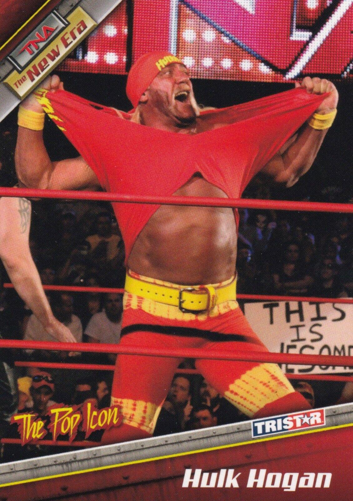 Hulk Hogan #1