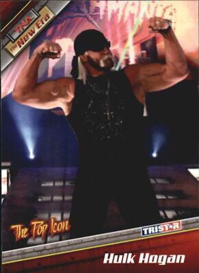 Hulk Hogan #2