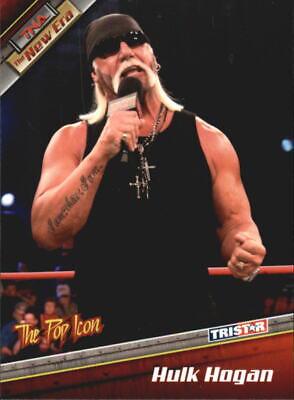 Hulk Hogan #3