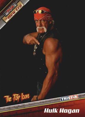 Hulk Hogan #4
