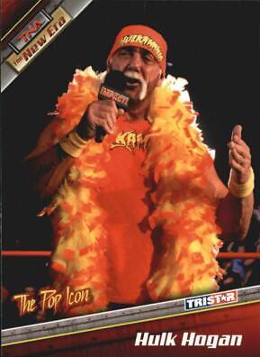 Hulk Hogan #5
