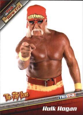 Hulk Hogan #6