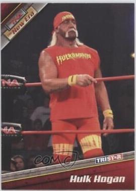 Hulk Hogan #7