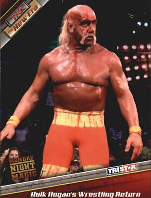 Hulk Hogan's Wrestling Return #82