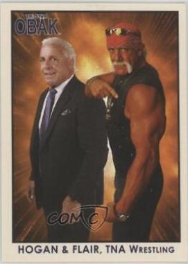 Hulk Hogan, Ric Flair #100