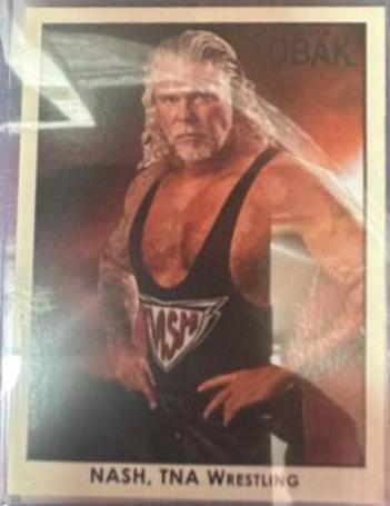 Kevin Nash #94