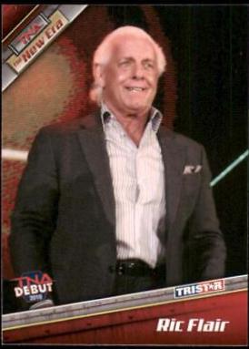 Ric Flair #8