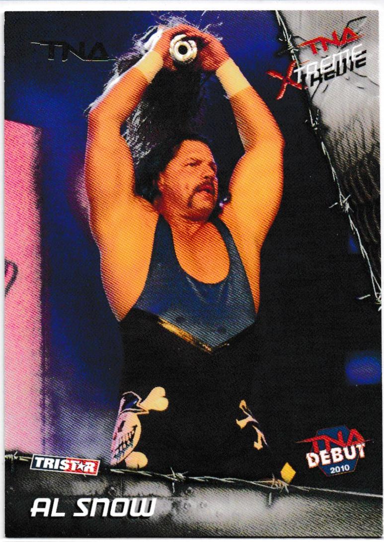 Al Snow [Silver] #22