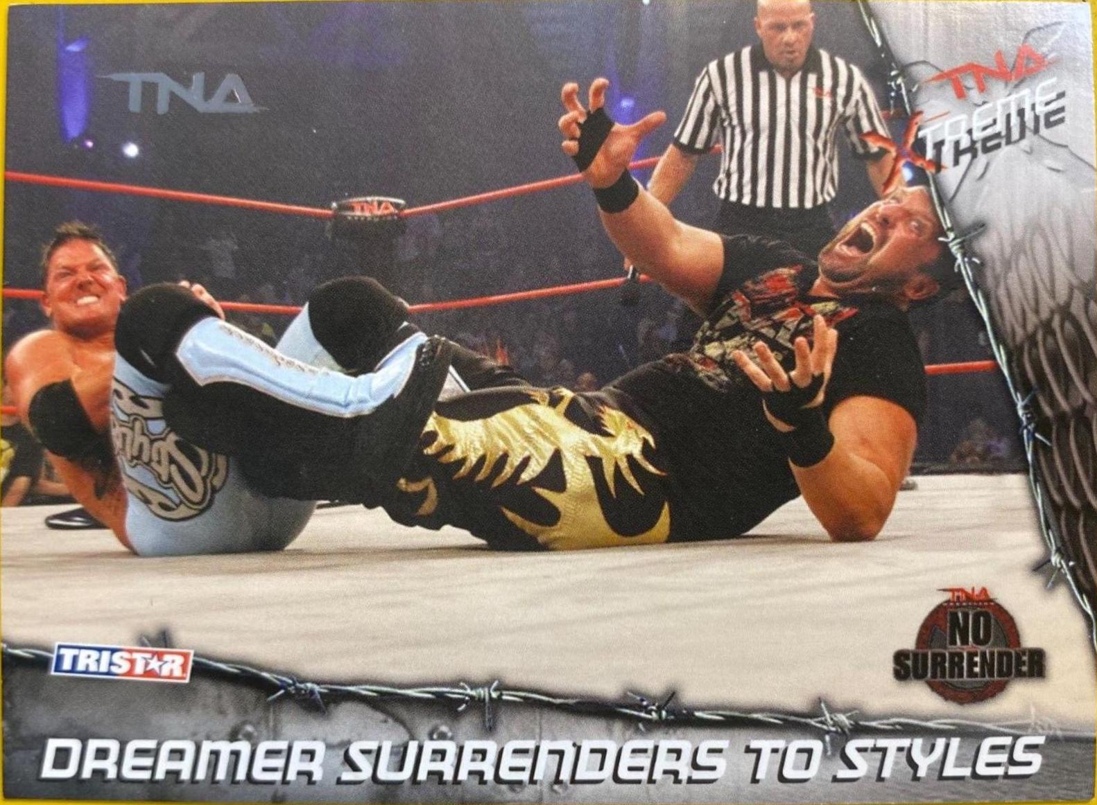 Dreamer Surrenders to Styles [Silver] #41