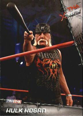 Hulk Hogan #1