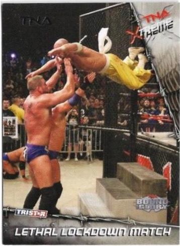 Lethal Lockdown Match [Silver] #56