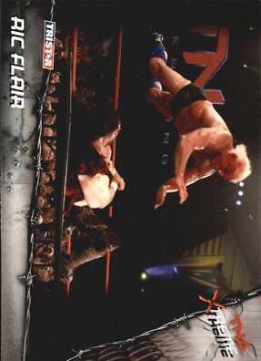 Ric Flair #7