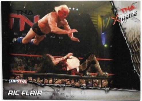 Ric Flair [Silver] #7