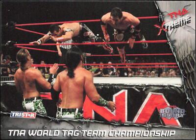 TNA World Tag Team Championship #53