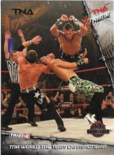 TNA World Tag Team Championship [Gold] #53