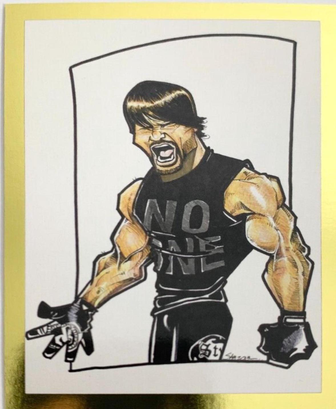 AJ Styles #104