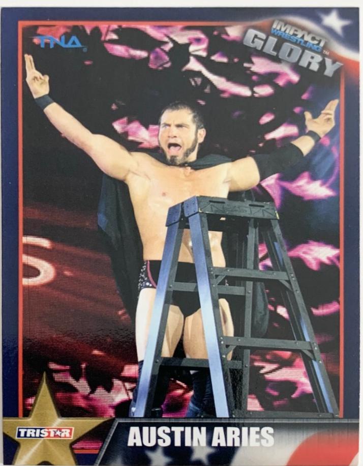 Austin Aries #24