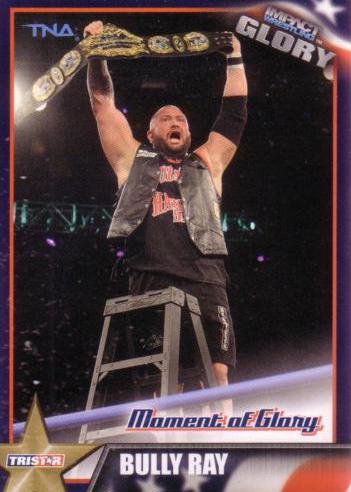 Bully Ray #9