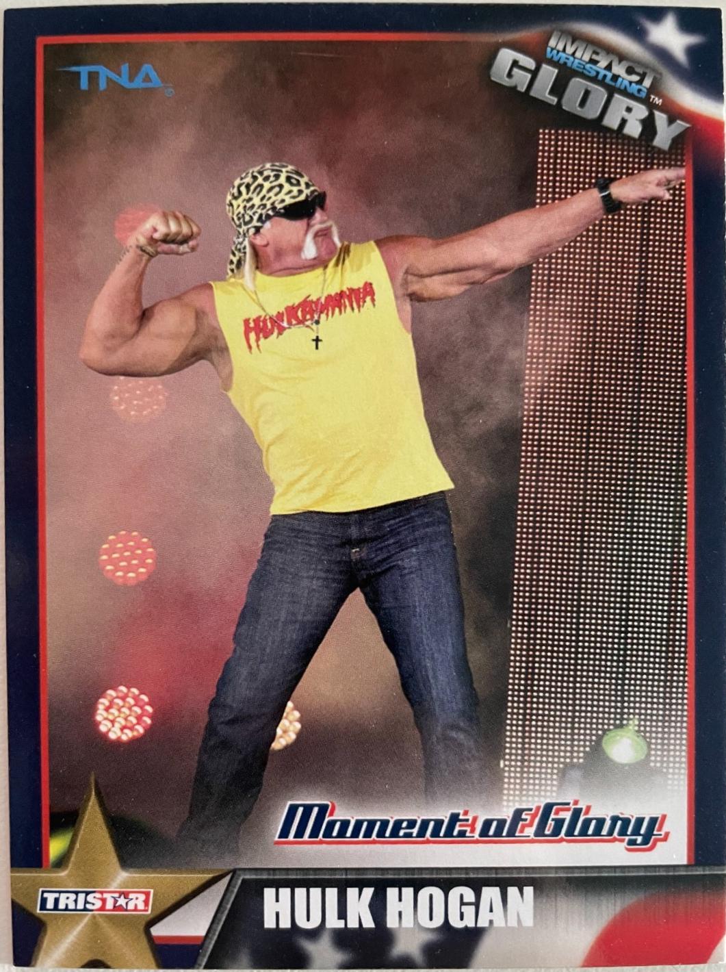 Hulk Hogan #2
