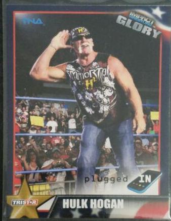 Hulk Hogan #39