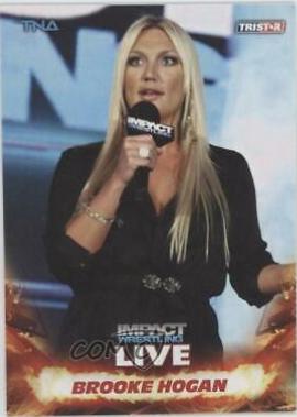 Brooke Hogan #2