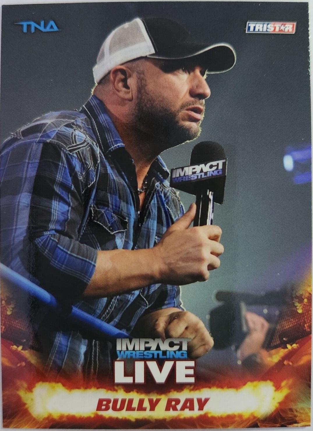 Bully Ray #10