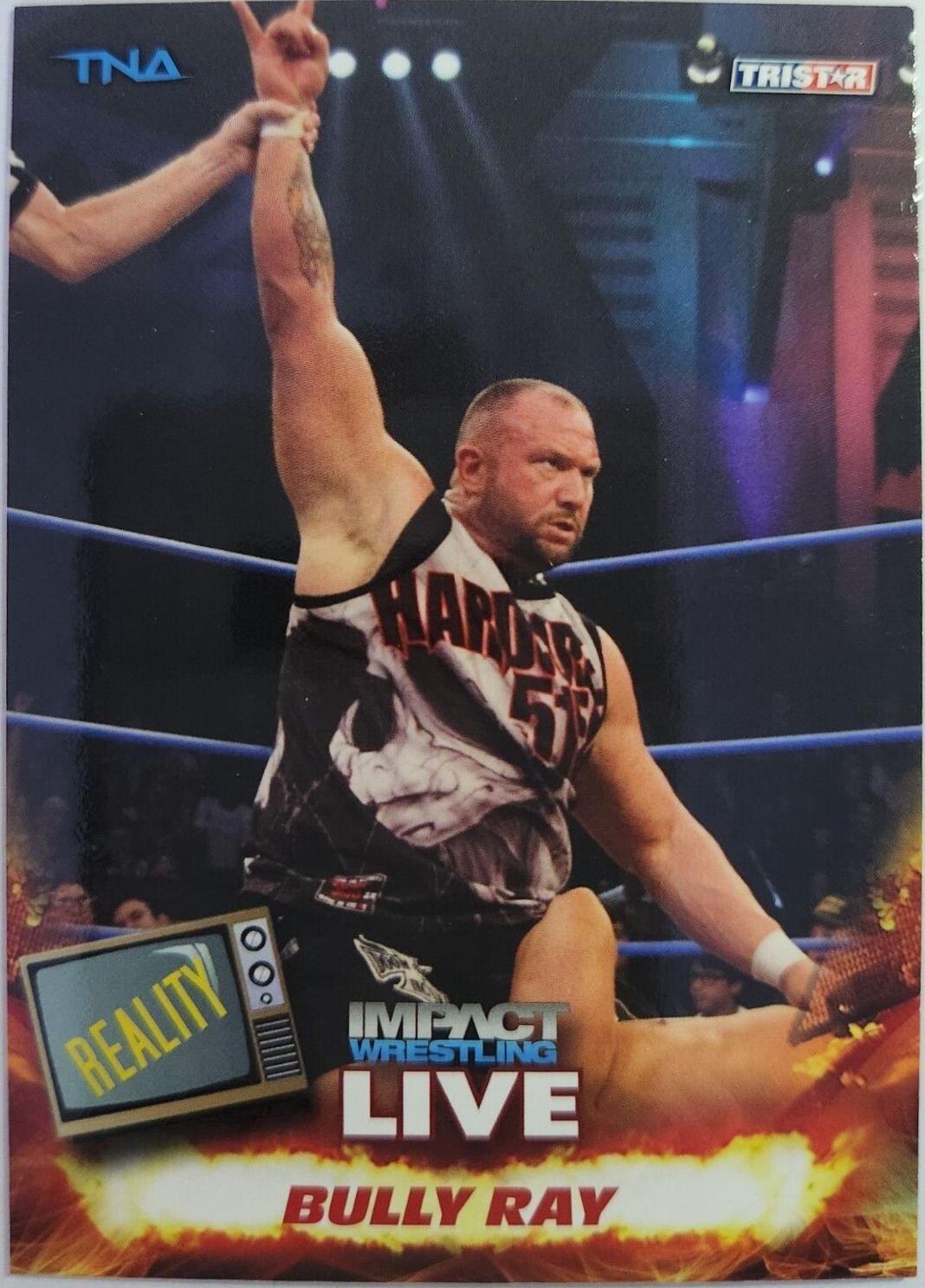 Bully Ray #41
