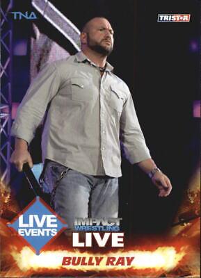 Bully Ray #71