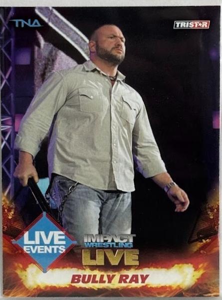 Bully Ray [Gold] #71