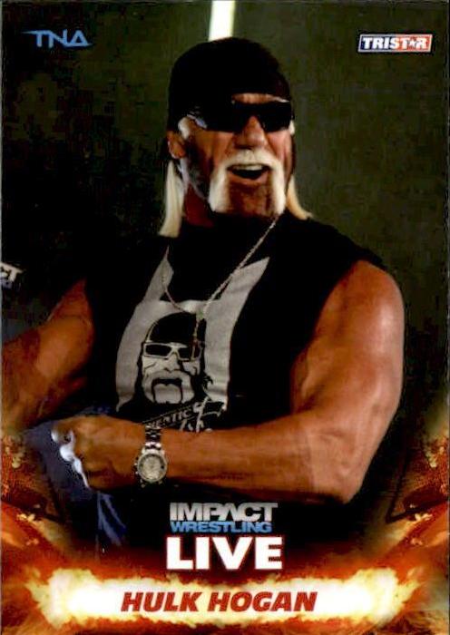 Hulk Hogan #1